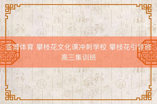 亚博体育 攀枝花文化课冲刺学校 攀枝花引导班高三集训班