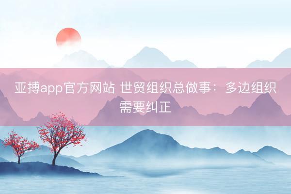 亚搏app官方网站 世贸组织总做事：多边组织需要纠正