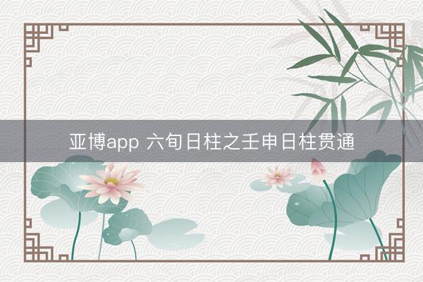 亚博app 六旬日柱之壬申日柱贯通
