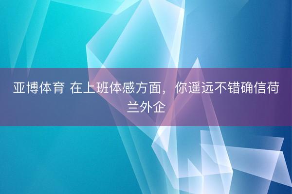亚博体育 在上班体感方面，你遥远不错确信荷兰外企