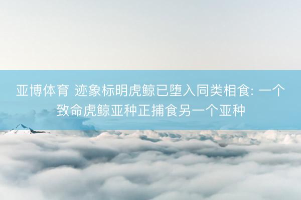 亚博体育 迹象标明虎鲸已堕入同类相食: 一个致命虎鲸亚种正捕食另一个亚种