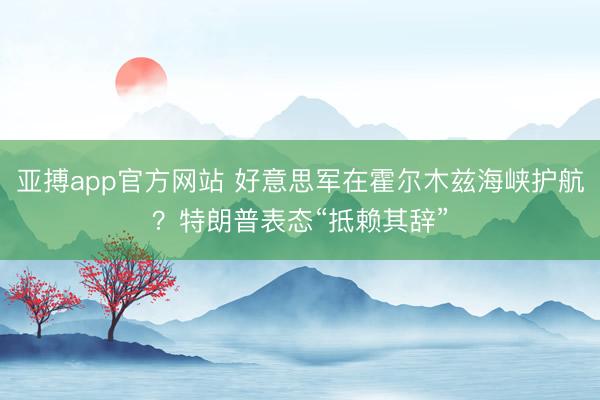 亚搏app官方网站 好意思军在霍尔木兹海峡护航?特朗普表态“抵赖其辞”