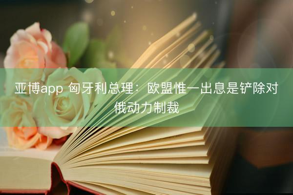 亚博app 匈牙利总理:欧盟惟一出息是铲除对俄动力制裁