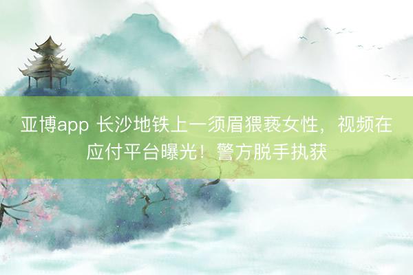 亚博app 长沙地铁上一须眉猥亵女性,视频在应付平台曝光!警方脱手执获