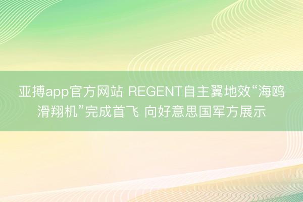 亚搏app官方网站 REGENT自主翼地效“海鸥滑翔机”完成首飞 向好意思国军方展示