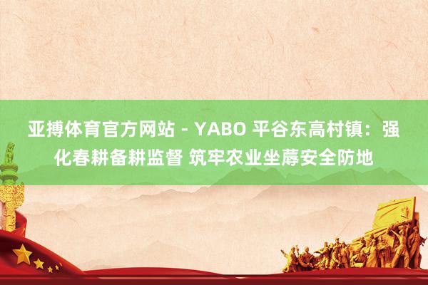 亚搏体育官方网站 - YABO 平谷东高村镇：强化春耕备耕监督 筑牢农业坐蓐安全防地
