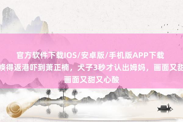 官方软件下载IOS/安卓版/手机版APP下载 黄翠如倏得返港吓到萧正楠，犬子3秒才认出姆妈，画面又甜又心酸
