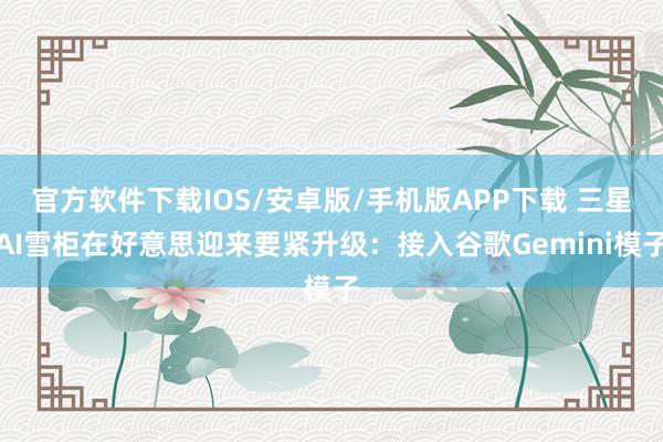 官方软件下载IOS/安卓版/手机版APP下载 三星AI雪柜在好意思迎来要紧升级：接入谷歌Gemini模子