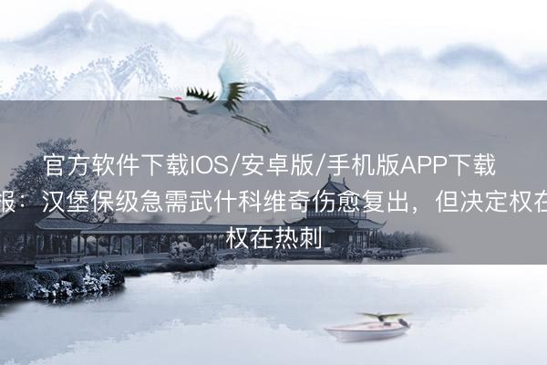 官方软件下载IOS/安卓版/手机版APP下载 图片报：汉堡保级急需武什科维奇伤愈复出，但决定权在热刺