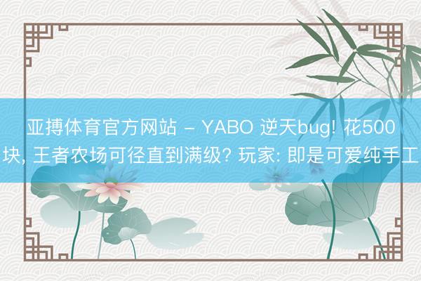 亚搏体育官方网站 - YABO 逆天bug! 花500块， 王者农场可径直到满级? 玩家: 即是可爱纯手工