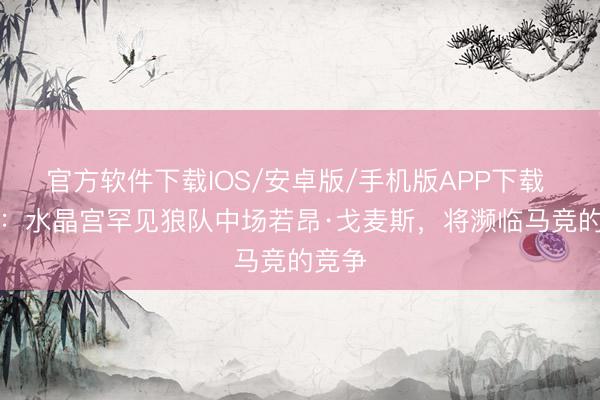 官方软件下载IOS/安卓版/手机版APP下载 BBC：水晶宫罕见狼队中场若昂·戈麦斯，将濒临马竞的竞争