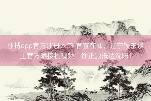 亚搏app官方注册入口 官宣在即，辽宁铁东谈主官方晒接机视频：徐正源抵达沈阳！