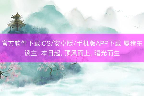 官方软件下载IOS/安卓版/手机版APP下载 属猪东谈主: 本日起， 顶风而上， 曙光而生